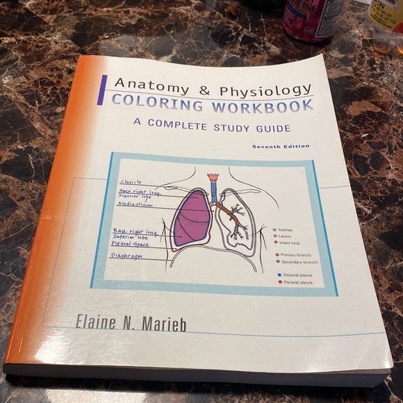 Anatomy & Physiology Coloring Workbook: A Complete Study Guide (7th Edition) - Picture 4 of 13